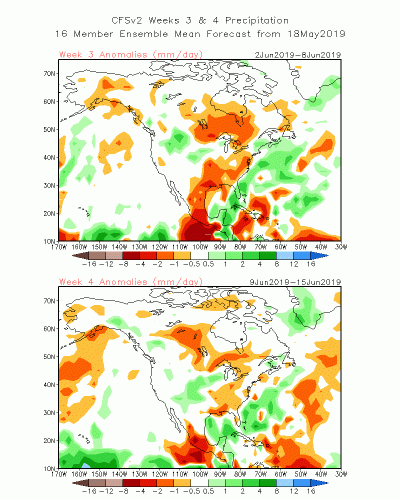 CFS Weeklies