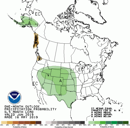 One Month Precip