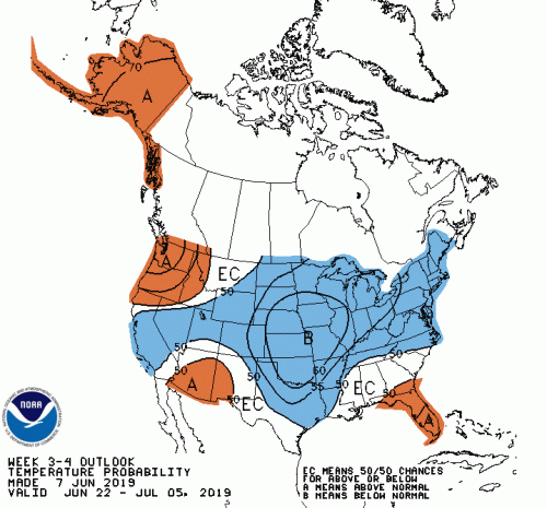 WK34temp(7).gif