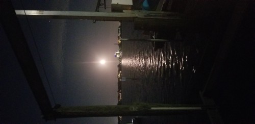 Moon over the bay