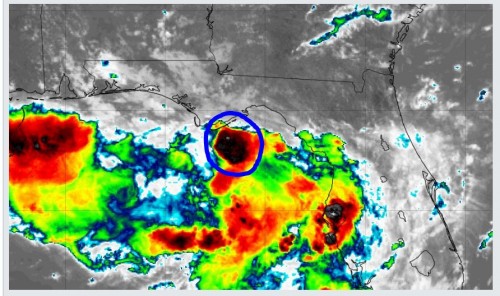 92 L Satellite View 07 09 19.JPG