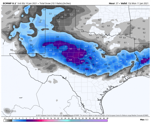 ecmwf-deterministic-tx-total_snow_10to1-0370000.png