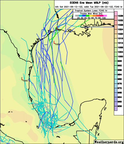 ecens_2021-06-12-12Z_240_33.285_258.088_16.277_275.787_MSLP_Surface_tracks_lows.png