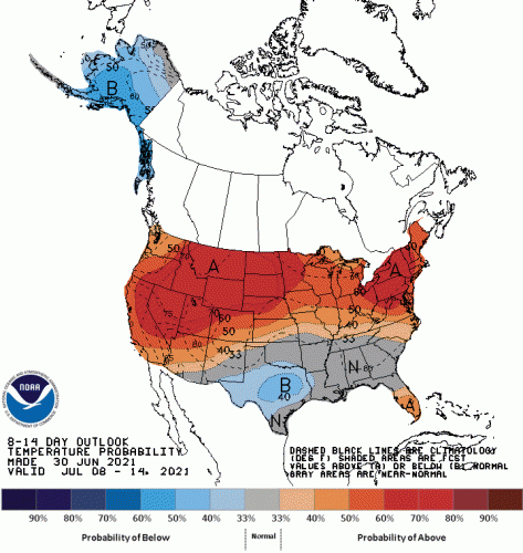 814temp.new-1.gif