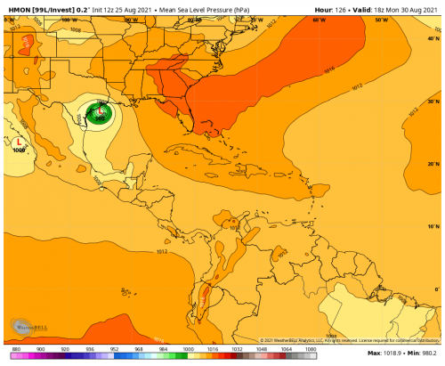 hmon-d1-invest99l-mslp-0346400.png