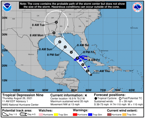 The Cone 08 26 21.png
