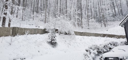20220116_080107_compress26.jpg