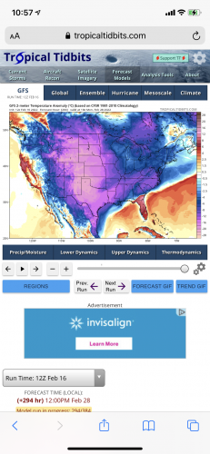 C923AA23-DCA1-4DB9-ADA8-659F3E368DF0.png