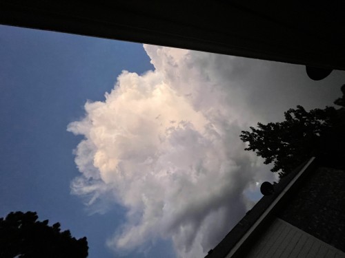 B70EA8BE-1935-4BF0-AB00-BFC1C2EC84A5.jpeg