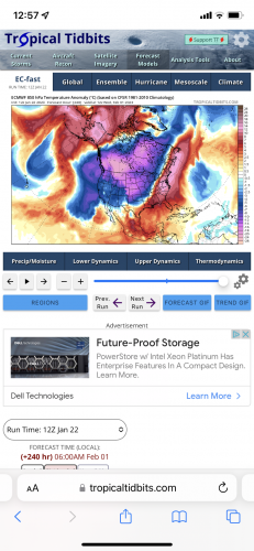 0806FBD7-1A6C-4D9B-93FC-F417A0F352E9.png