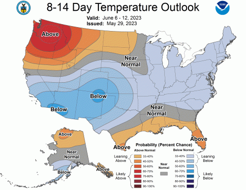 814temp.new.gif