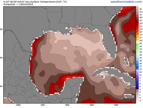 Gulf Temperatures 08 16 23.jpg