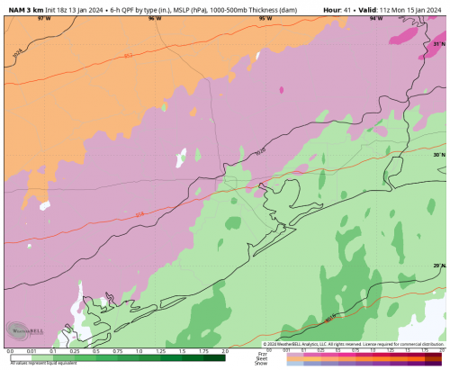 nam-nest-houston-instant_ptype-5316400.png