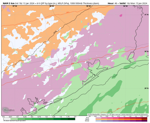 nam-nest-houston-instant_ptype-5334400.png