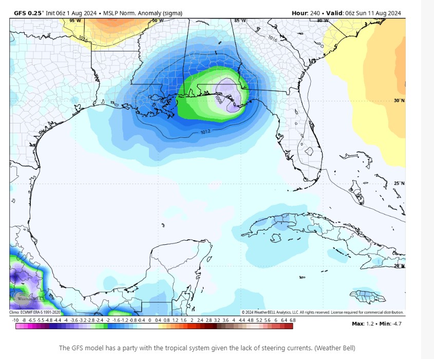 GFS 08 01 24.jpg