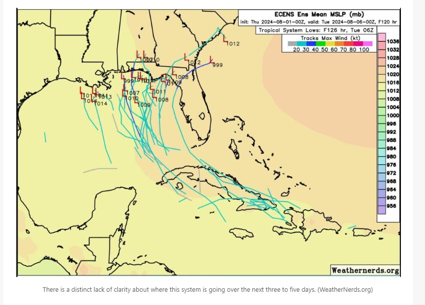 Euro Ensembles 08 01 24.jpg