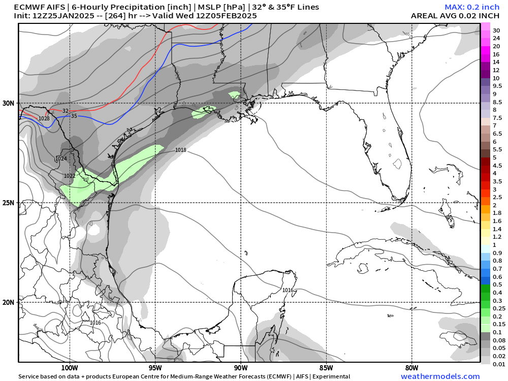 aifs-6h-precip-gulf-264.png