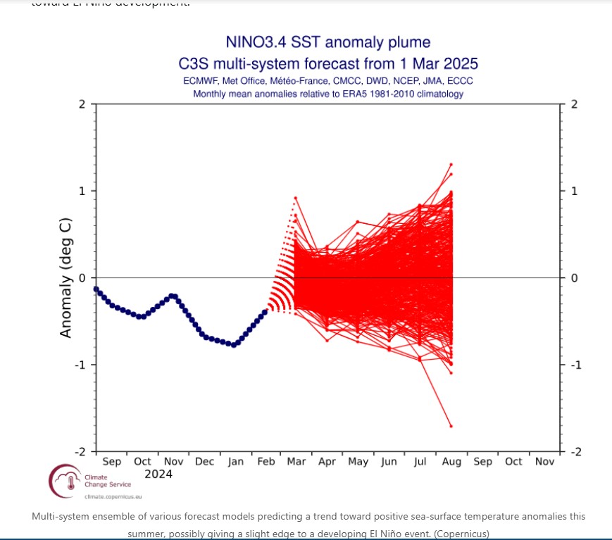 NINO SST 04 09 25.jpg