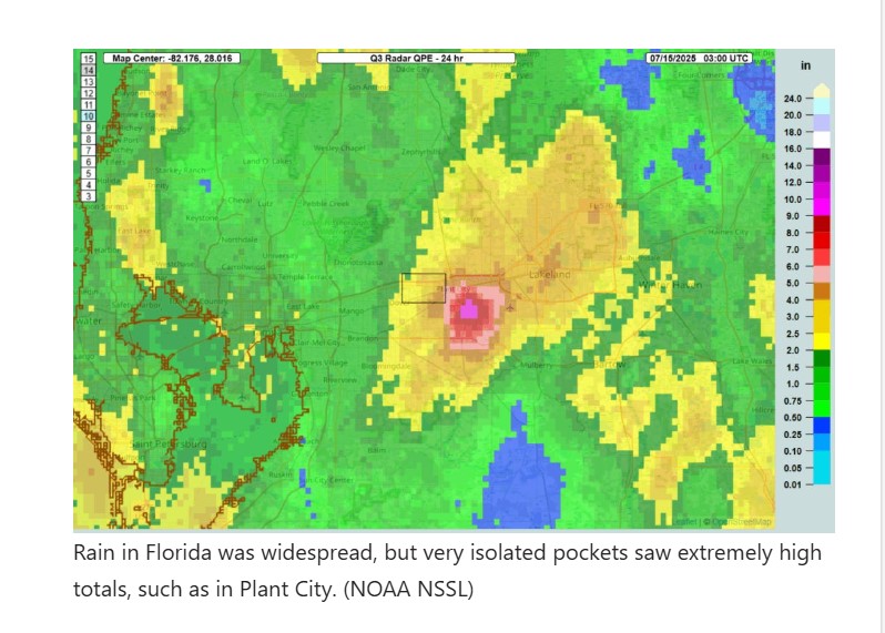 Screenshot 2025-07-15 094652.jpg