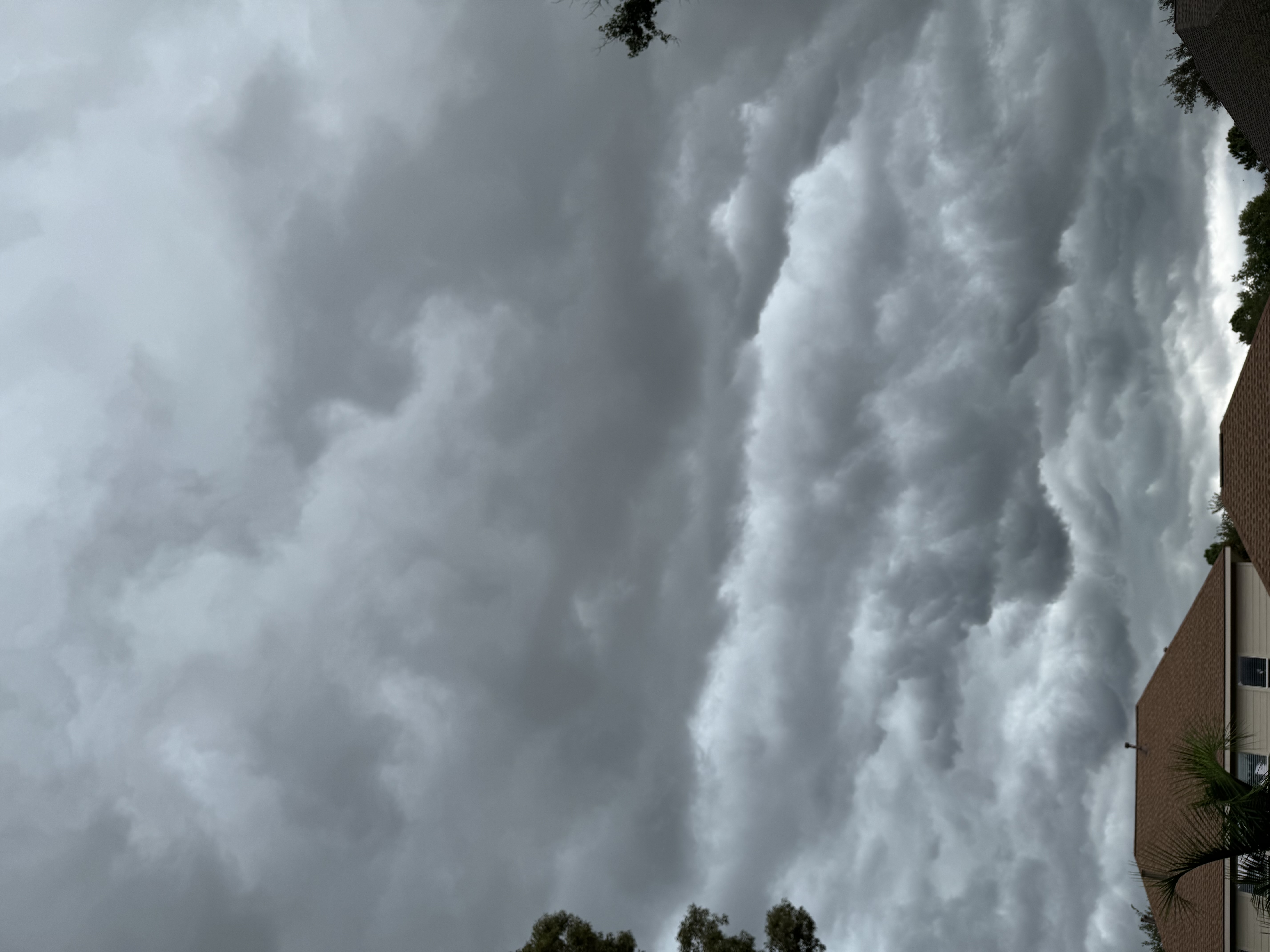 IMG_3806.jpeg