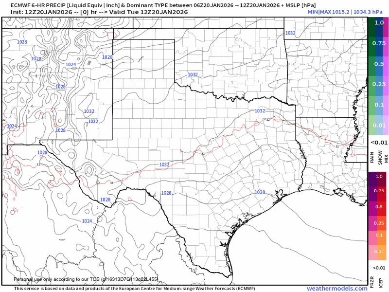 9-km-ECMWF-USA-Cities-Texas-Precip-Type-MSLP-2.gif