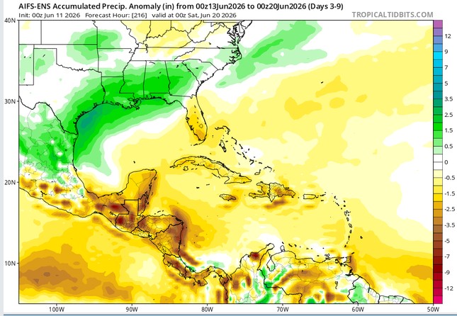 AIFS ENS Accumulated Precipitation.jpg