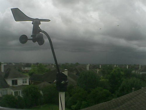 CellsWebcam.jpg